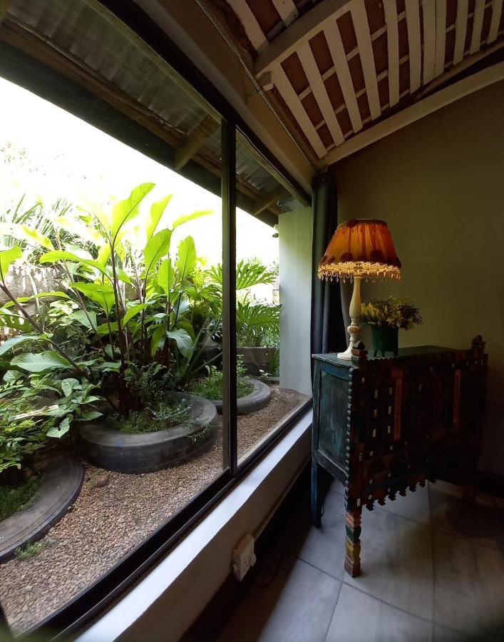 Ascot Bush Lodge Pietermaritzburg Exterior foto