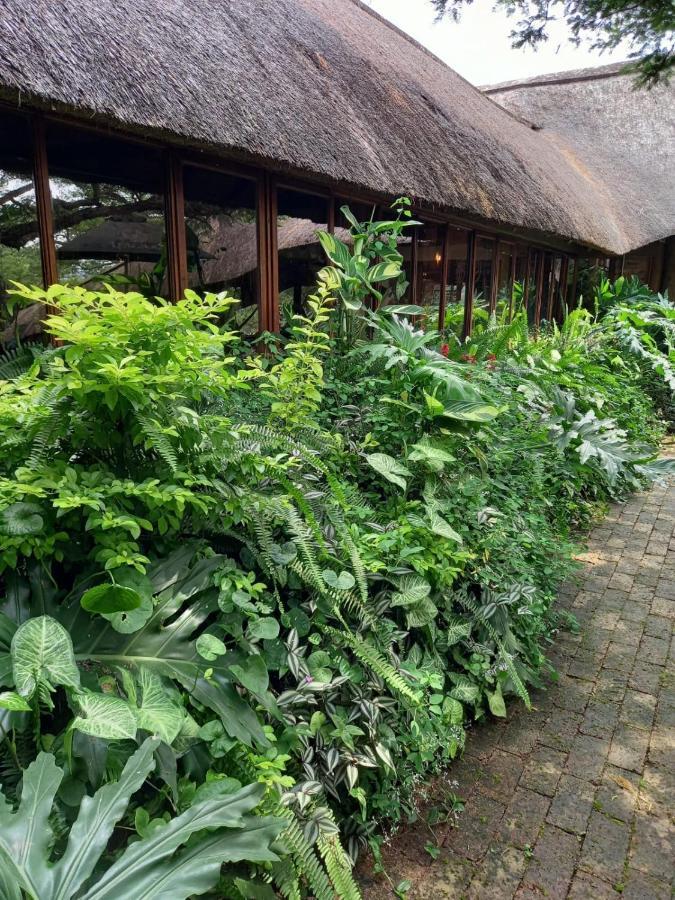 Ascot Bush Lodge Pietermaritzburg Exterior foto